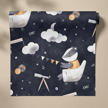 Cosmic Coon, Kiddopia, Wallpaper, 54  sft